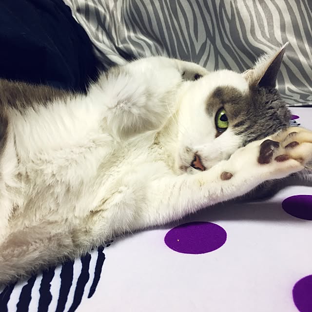 watageさんの実例写真