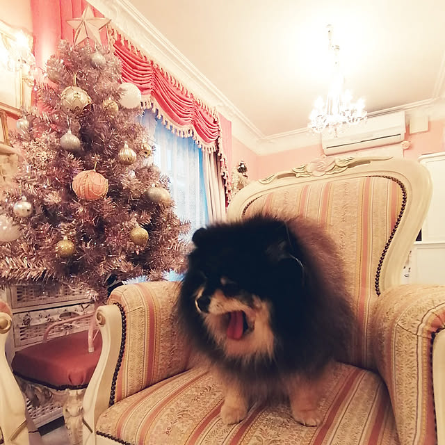 yuuandkoroさんの実例写真