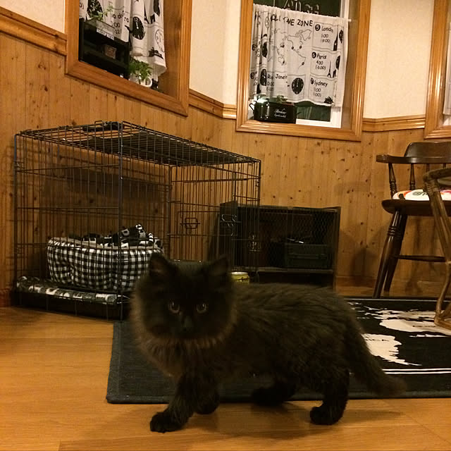 chocolatさんの実例写真