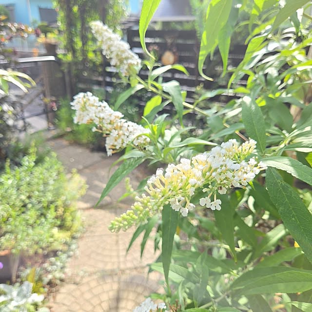 min_nimさんの実例写真