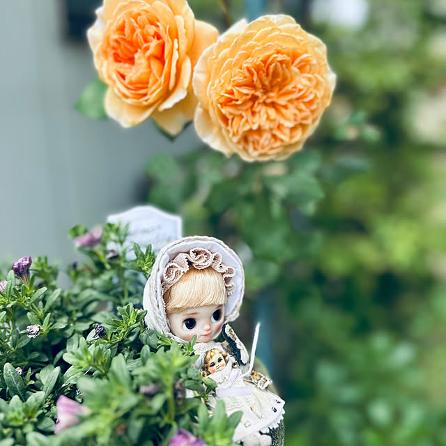 honeyさんの部屋