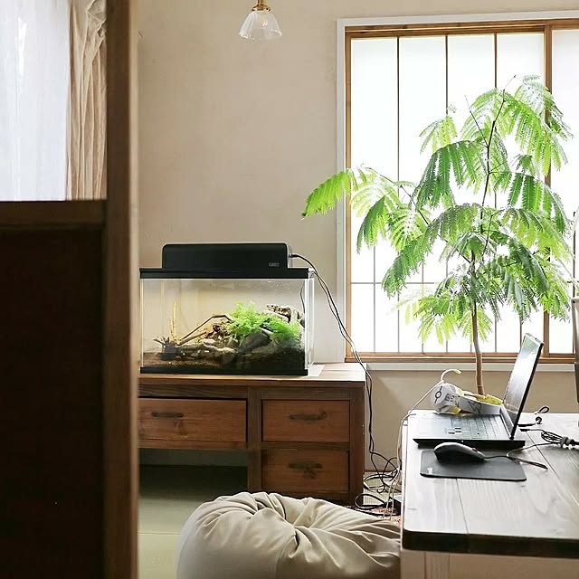 fumi_3さんの実例写真