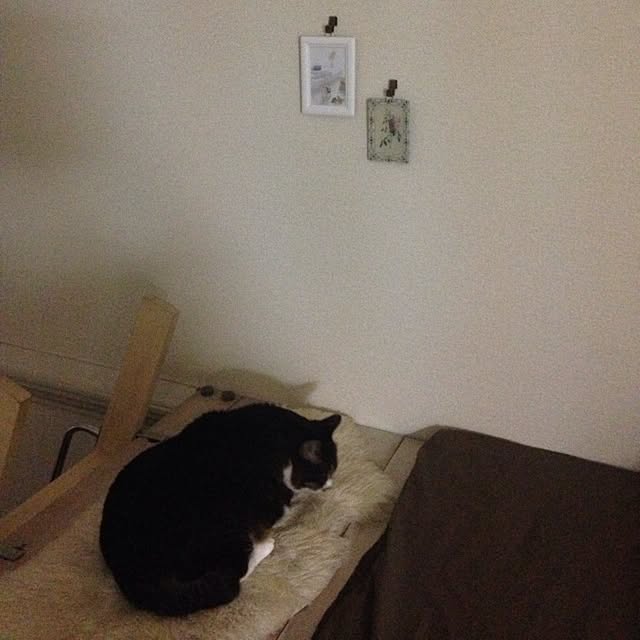 piyopicoさんの実例写真