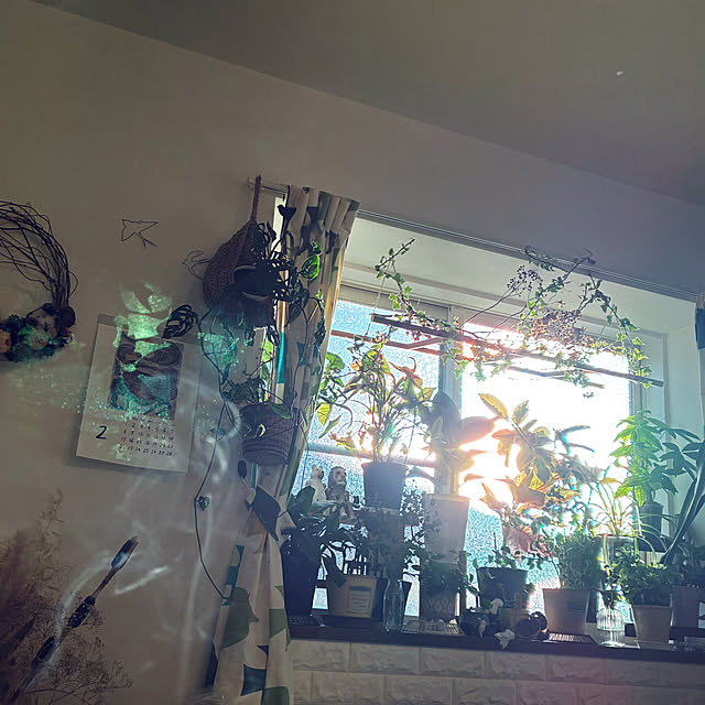 ayayayayaさんの部屋