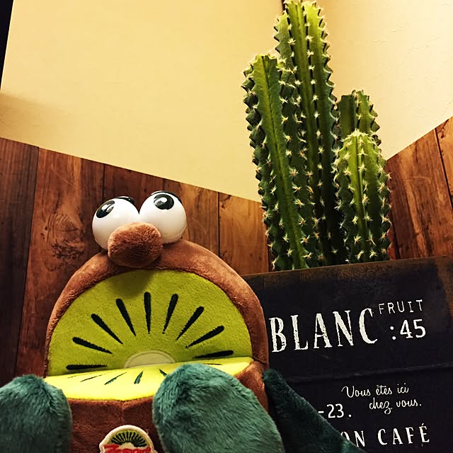 hamuさんの実例写真
