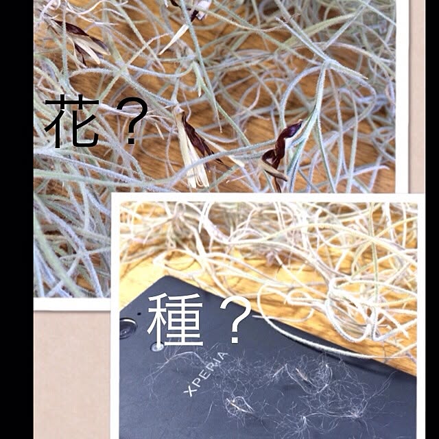 lovelinさんの実例写真