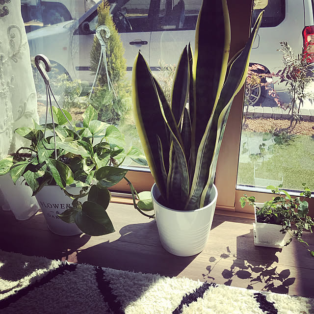 Moeさんの実例写真