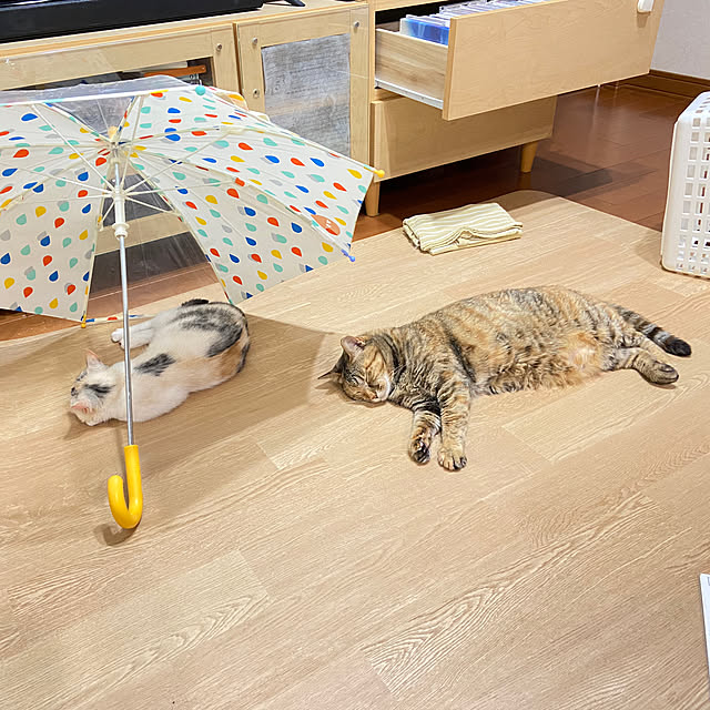 hansho.sさんの実例写真