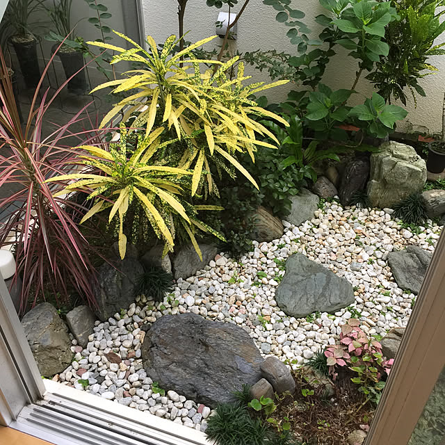 Runaさんの実例写真