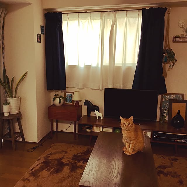 anzyさんの実例写真