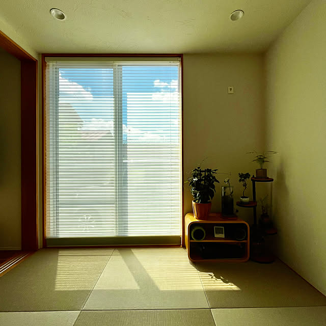 tamabaka1971さんの部屋