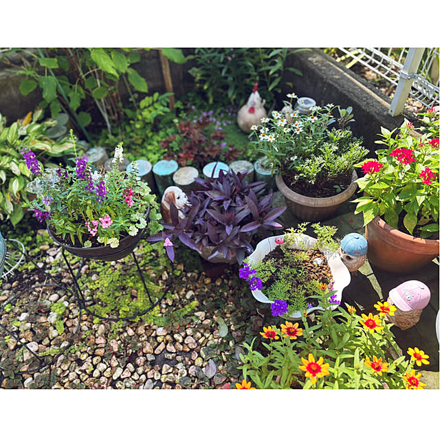 CoCo0617さんの部屋