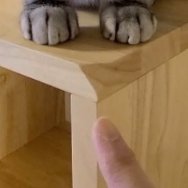 lovepeaceさんの部屋