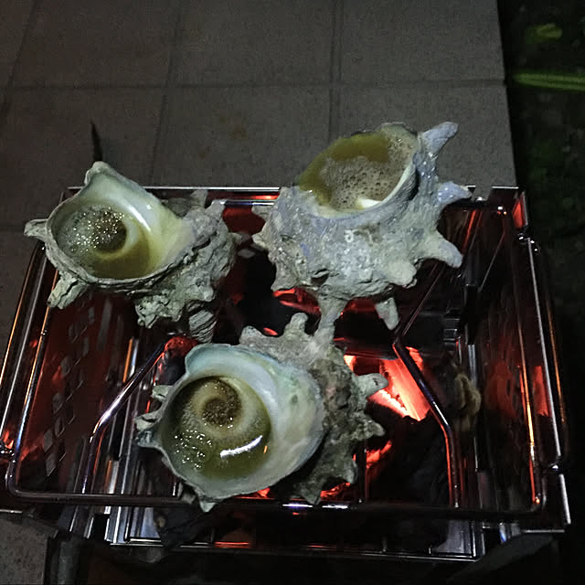 hachicoさんの実例写真