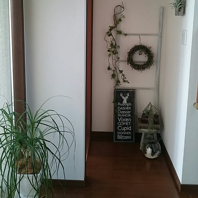 shirokumaさんの実例写真