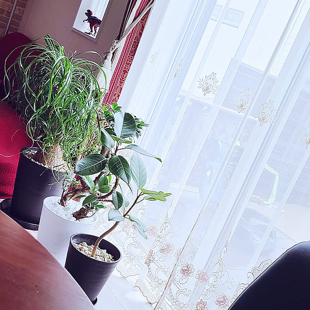 r0siereさんの実例写真