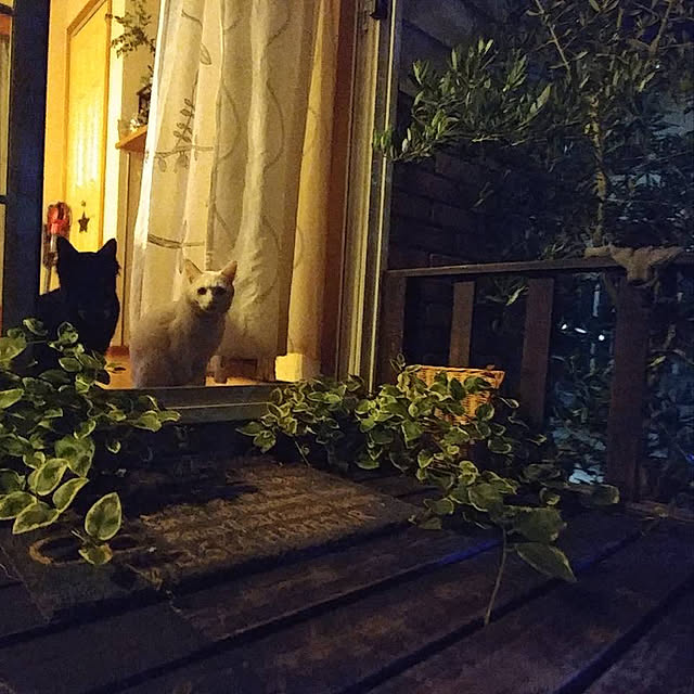 chocolatさんの実例写真