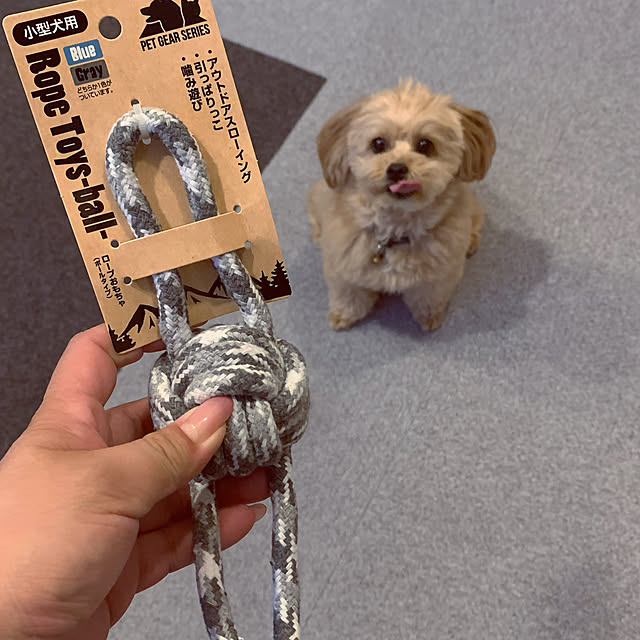 ikt.tamaさんの実例写真