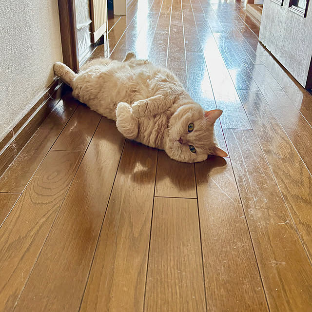 naokoさんの部屋