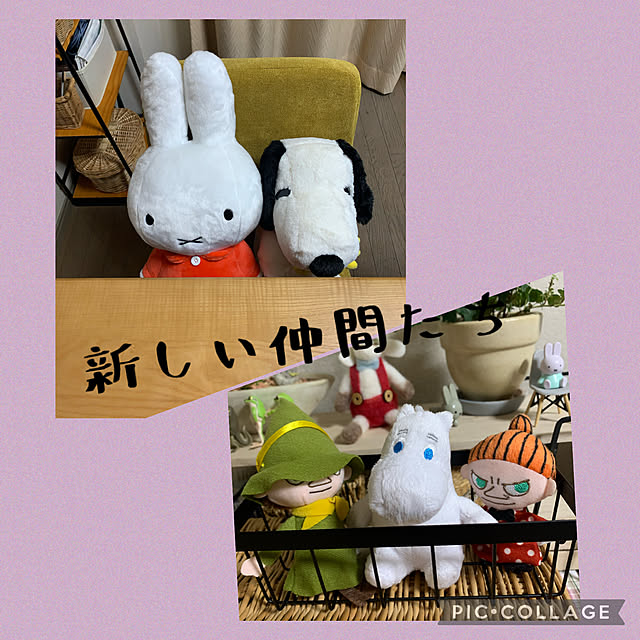 JUNさんの実例写真