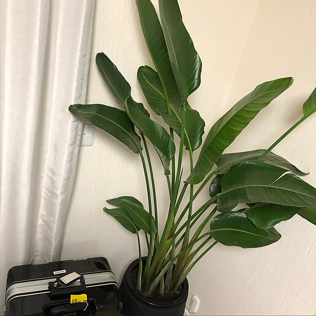 oluolukai0513さんの実例写真