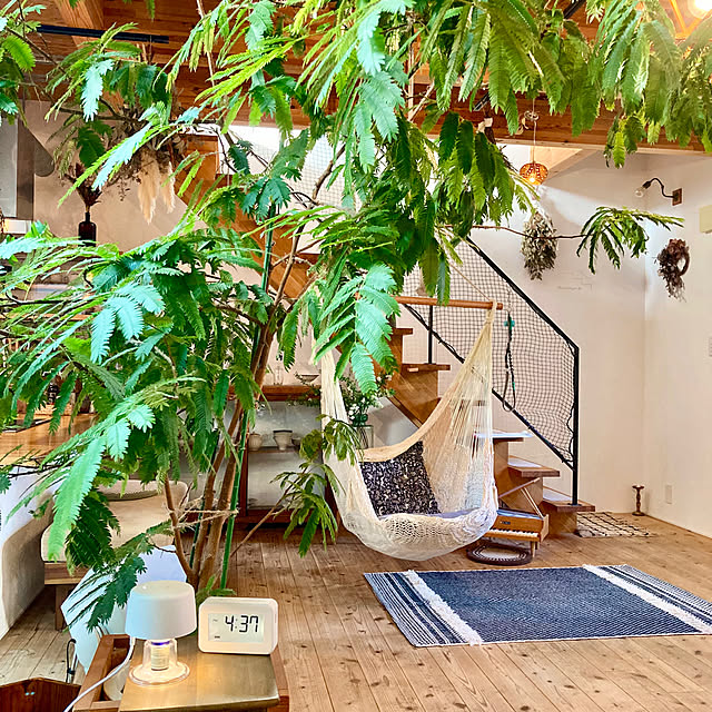 green.green.greenさんの実例写真