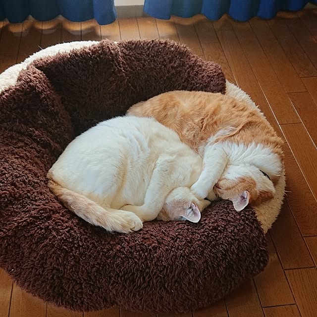 NOAHさんの部屋
