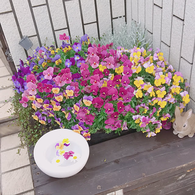 puniさんの実例写真