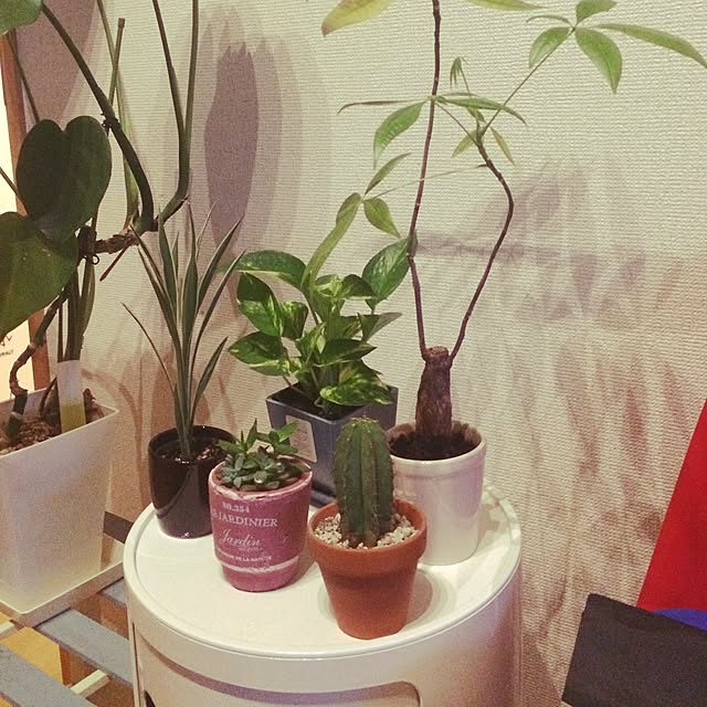 watさんの実例写真