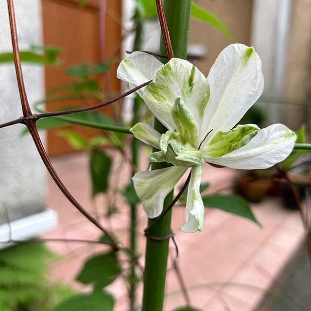 fumikoiさんの部屋