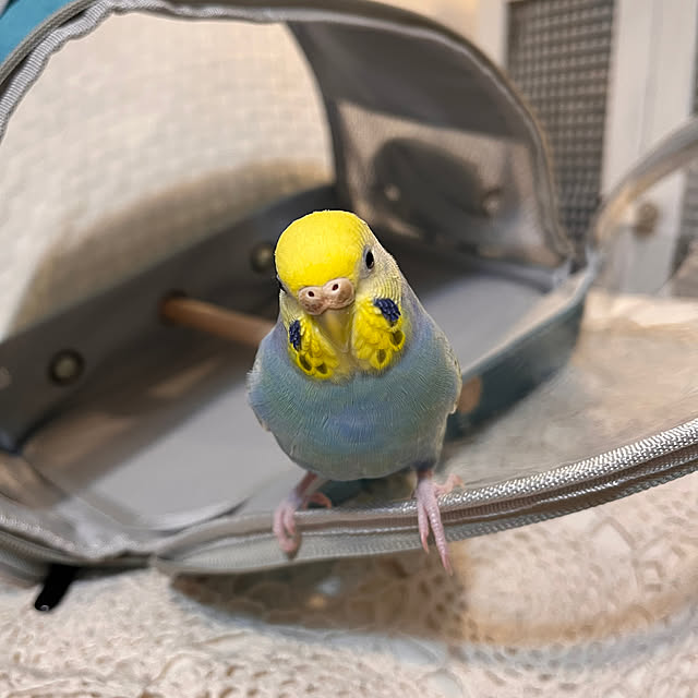 Atsukoさんの部屋