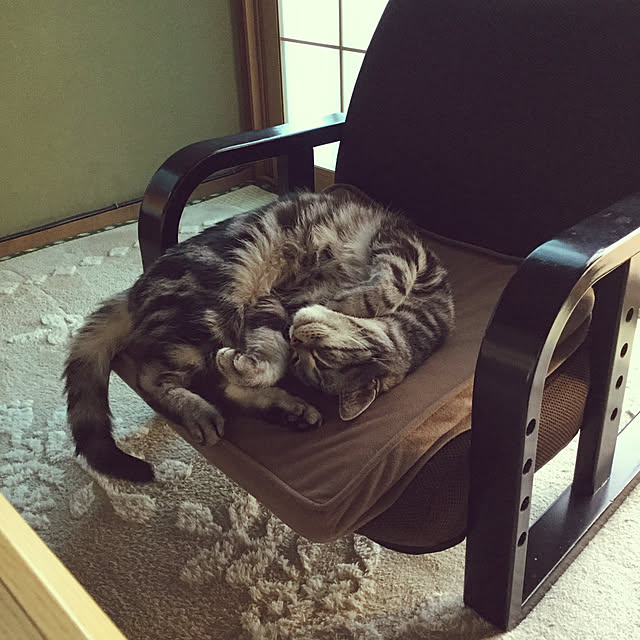 richanさんの実例写真