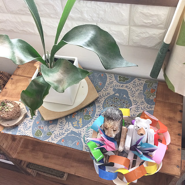 ayayayayaさんの実例写真