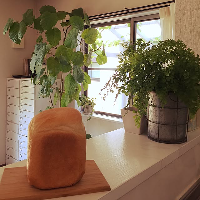 087さんの実例写真