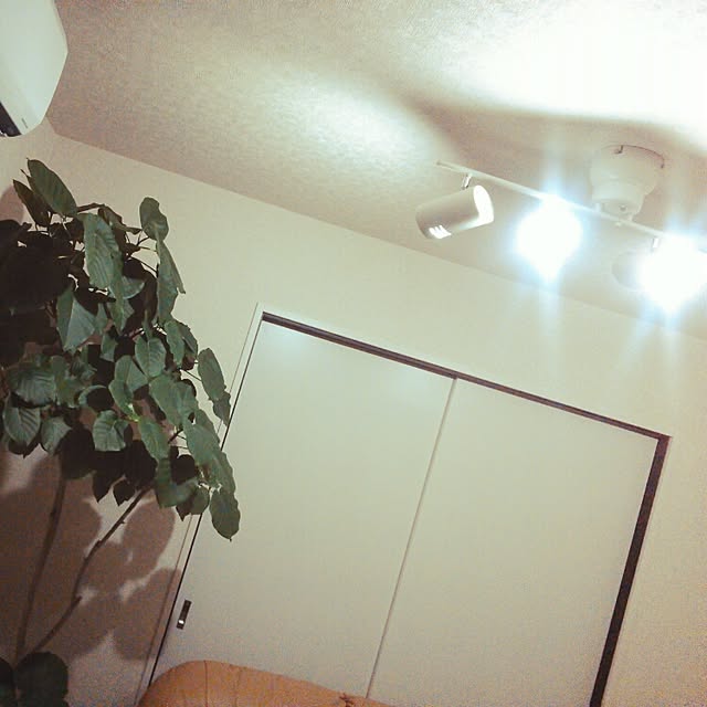 SVsoldiersさんの実例写真