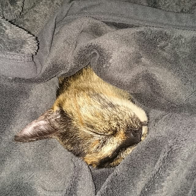 YOOさんの実例写真