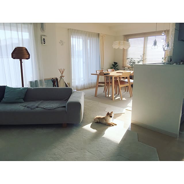 haruhinaさんの実例写真