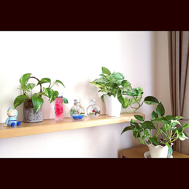 akiwaka-roomさんの実例写真