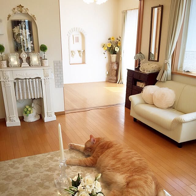 yuさんの実例写真