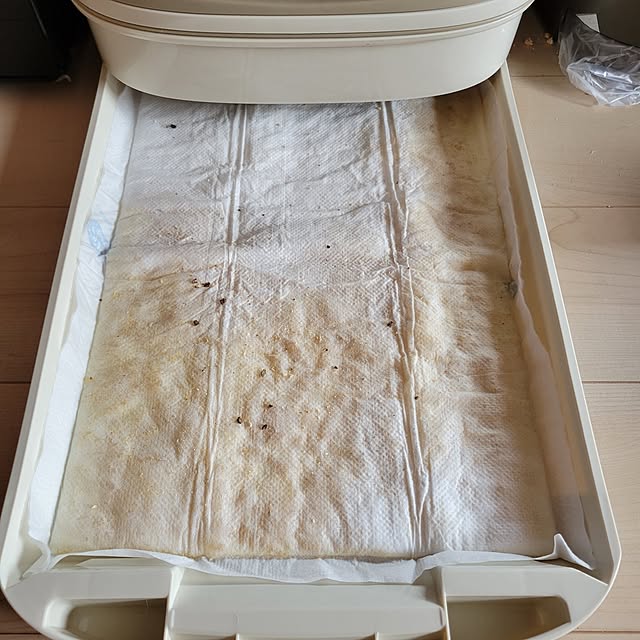 KimmieMouseさんの部屋