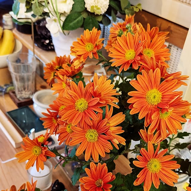 kazuさんの実例写真