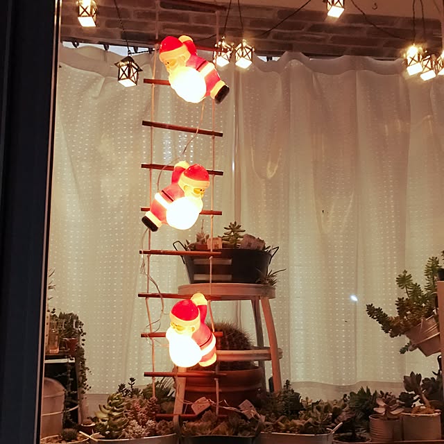 lovekuma_emilyさんの実例写真