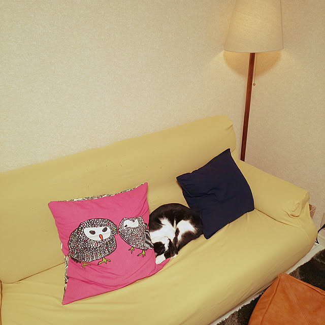 oseroさんの実例写真