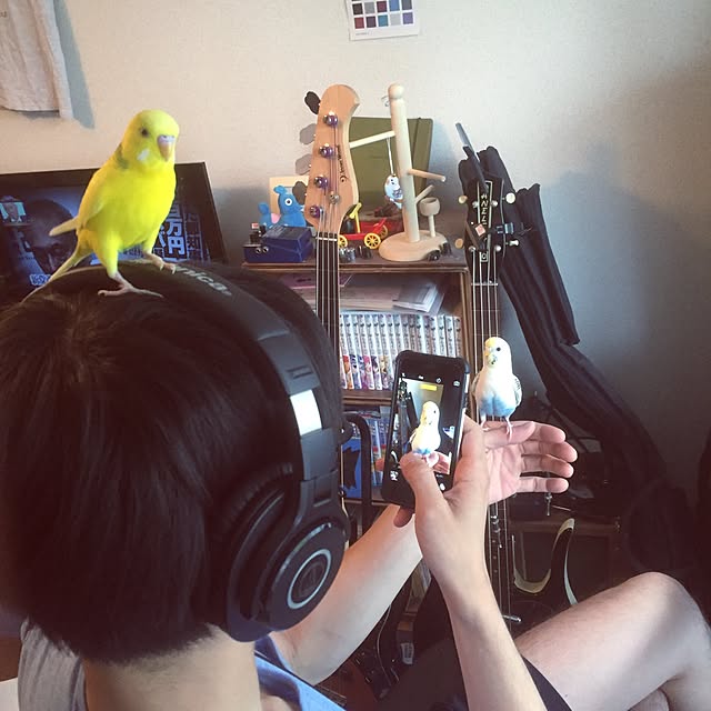 torihanaさんの実例写真
