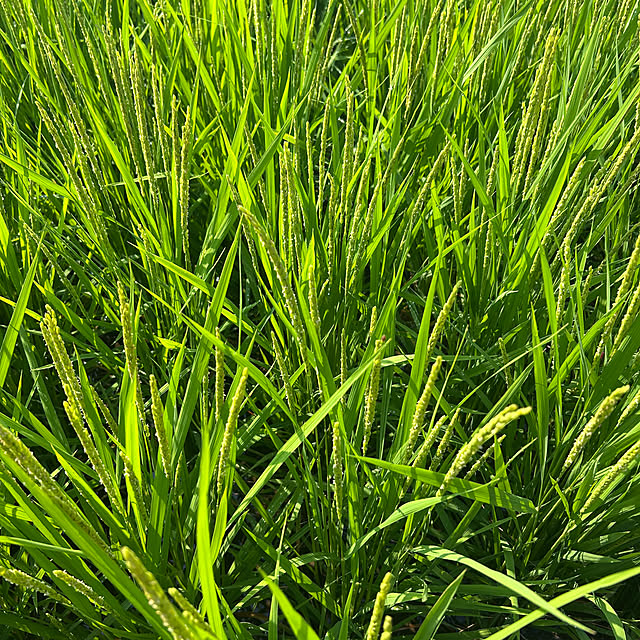 banbinaさんの部屋