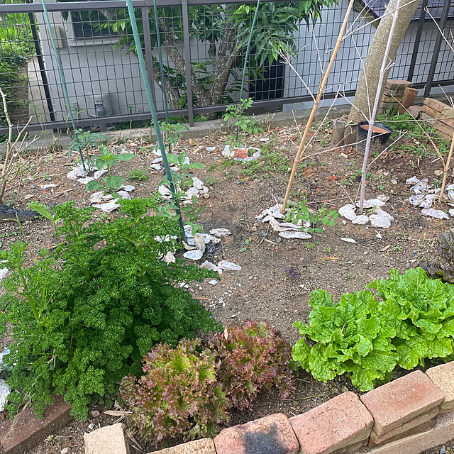 kotaroさんの部屋