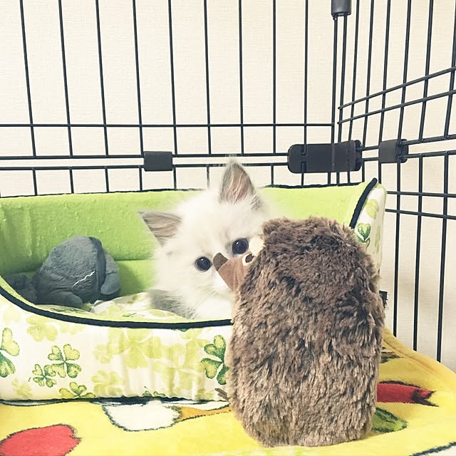 rbesfさんの実例写真