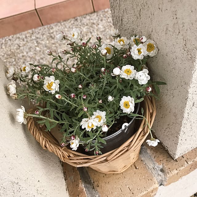 mini_archさんの実例写真
