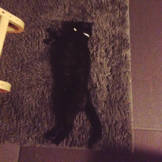 ALPSさんの実例写真