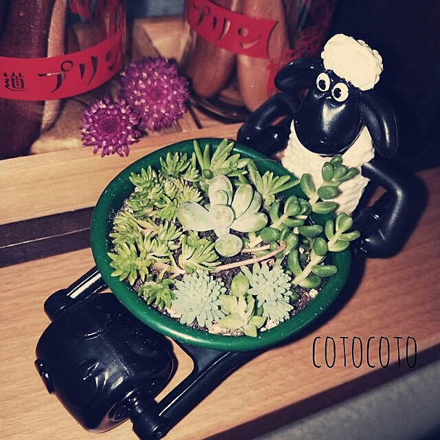 cotocotoさんの実例写真
